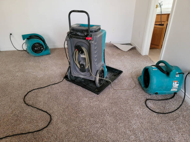 Best Flood restoration services  in Hanover, PA