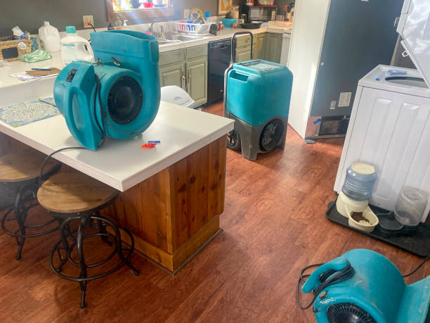 Best Flooded house restoration  in Hanover, PA