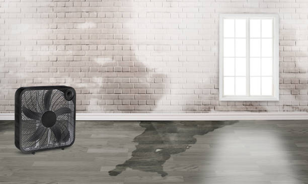 Water damage restoration process in PA